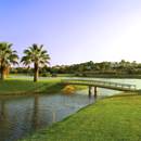 8th Hole Olives Course at Pinheiros Altos