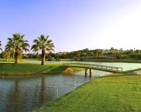 8th Hole Olives Course at Pinheiros Altos