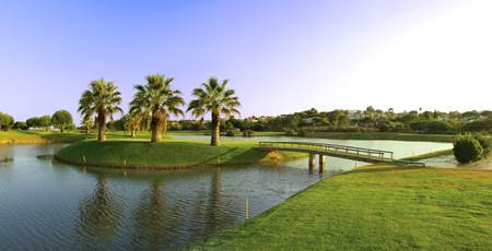 8th Hole Olives Course at Pinheiros Altos